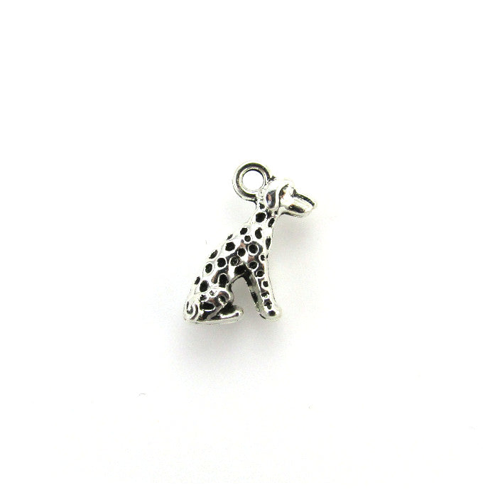 Dalmatian Charm