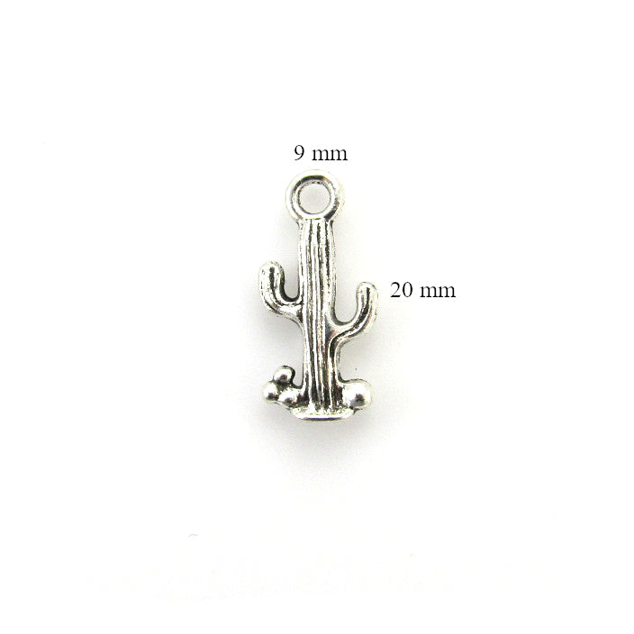 Cactus Charm